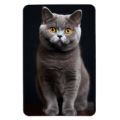 Magnet Flexible Aimant photo flexible de chats (Vertical)