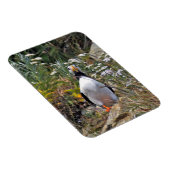 Magnet Flexible Aimant photo flexible de pouffin (Côté Droit)