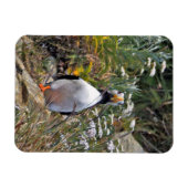Magnet Flexible Aimant photo flexible de pouffin (Horizontal)