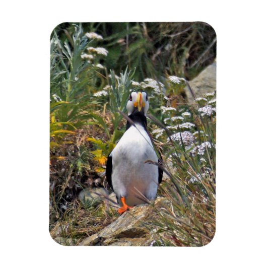 Magnet Flexible Aimant photo flexible de pouffin (Vertical)