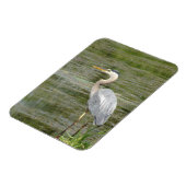 Magnet Flexible Aimant photo flexible Héron bleu (Côté Gauche)