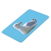 Magnet Flexible Aimant photo flexible horizontal Seagull (Côté Gauche)