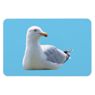 Magnet Flexible Aimant photo flexible horizontal Seagull