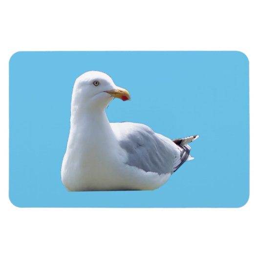 Magnet Flexible Aimant photo flexible horizontal Seagull (Horizontal)