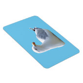 Magnet Flexible Aimant photo flexible horizontal Seagull (Côté Droit)