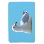 Magnet Flexible Aimant photo flexible horizontal Seagull (Vertical)