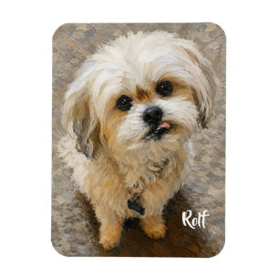 Magnet Flexible Aimant photo flexible pour chien Malshi