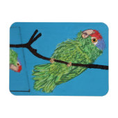 Magnet Flexible aimant photo perroquet vert (Horizontal)