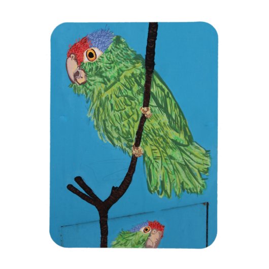 Magnet Flexible aimant photo perroquet vert (Vertical)