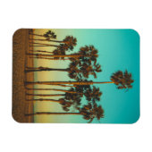Magnet Flexible Aimant photo personnalisé Palm Trees (Horizontal)