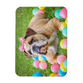 Magnet Flexible Aimant photo pour animal de compagnie de chien per (Vertical)