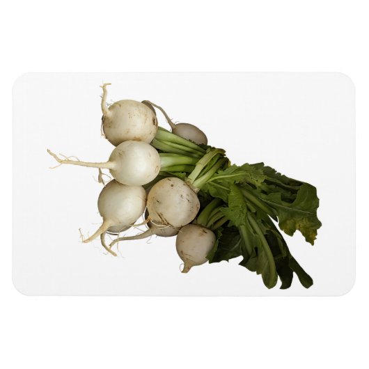 Magnet Flexible Aimant photo Turnips (Horizontal)