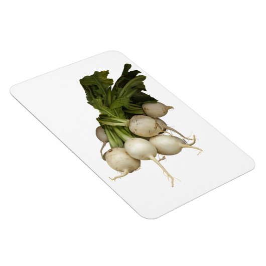 Magnet Flexible Aimant photo Turnips (Côté Droit)