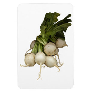 Magnet Flexible Aimant photo Turnips