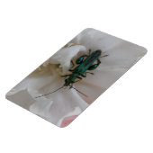 Magnet Flexible Aimant Premium au coléoptère de fleurs (Côté Gauche)