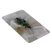 Magnet Flexible Aimant Premium au coléoptère de fleurs (Côté Droit)