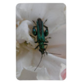Magnet Flexible Aimant Premium au coléoptère de fleurs (Vertical)