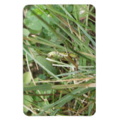 Magnet Flexible Aimant Premium Camouflage Grasshopper (Vertical)