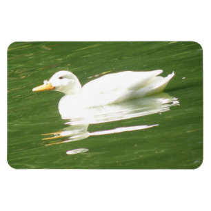 Magnet Flexible Aimant Premium Canard sur l'Eau
