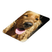 Magnet Flexible Aimant Premium Chien Espagnol (Côté Gauche)