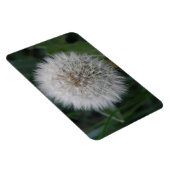 Magnet Flexible Aimant Premium de la fleur de candéon (Côté Droit)