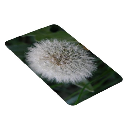 Magnet Flexible Aimant Premium de la fleur de candéon (Côté Droit)