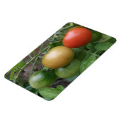 Magnet Flexible Aimant Premium de tomates de feu de circulation (Côté Gauche)