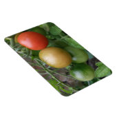 Magnet Flexible Aimant Premium de tomates de feu de circulation (Côté Droit)