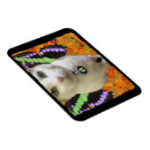 Magnet Flexible Aimant Premium Fairy Cat (Côté Droit)