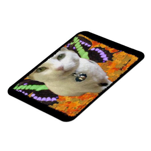 Magnet Flexible Aimant Premium Fairy Cat (Côté Gauche)