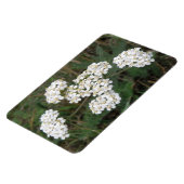 Magnet Flexible Aimant Premium Fleur sauvage blanc (Côté Gauche)