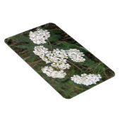 Magnet Flexible Aimant Premium Fleur sauvage blanc (Côté Droit)