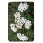 Magnet Flexible Aimant Premium Fleur sauvage blanc (Vertical)