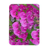 Magnet Flexible Aimant Premium Fleurs de pois doux (Vertical)