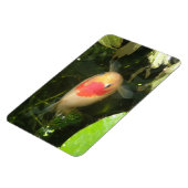 Magnet Flexible Aimant Premium Goldfish (Côté Gauche)