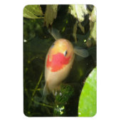 Magnet Flexible Aimant Premium Goldfish (Vertical)