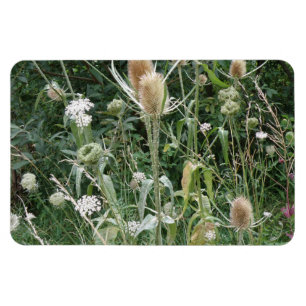 Magnet Flexible Aimant Premium Grasses sauvages