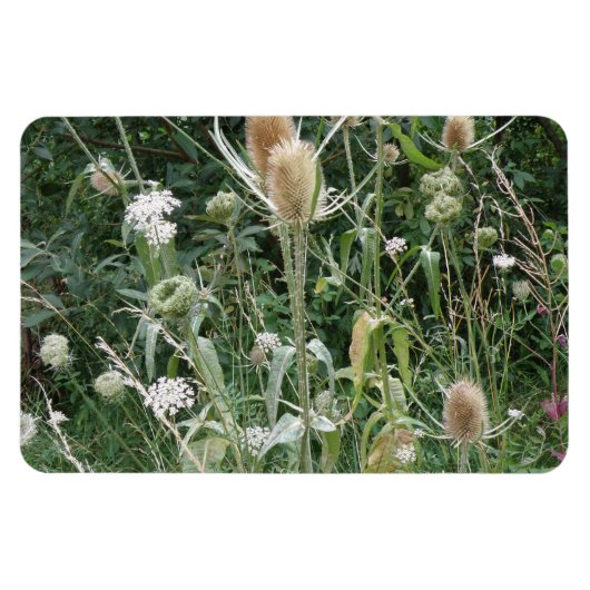 Magnet Flexible Aimant Premium Grasses sauvages (Horizontal)