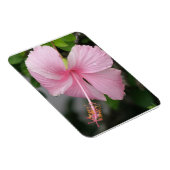 Magnet Flexible Aimant Premium Hibiscus rose (Côté Droit)