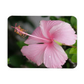 Magnet Flexible Aimant Premium Hibiscus rose (Horizontal)