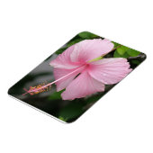 Magnet Flexible Aimant Premium Hibiscus rose (Côté Gauche)