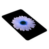 Magnet Flexible Aimant Premium Marigold blanc et bleu (Côté Droit)