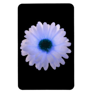 Magnet Flexible Aimant Premium Marigold blanc et bleu
