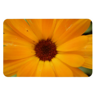 Magnet Flexible Aimant Premium orange de pluie