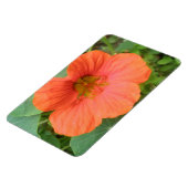 Magnet Flexible Aimant Premium Orange Nasturtium Flower (Côté Gauche)