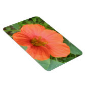 Magnet Flexible Aimant Premium Orange Nasturtium Flower (Côté Droit)