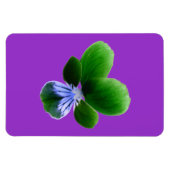 Magnet Flexible Aimant Premium Pansy vert (Horizontal)