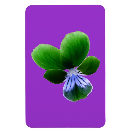 Magnet Flexible Aimant Premium Pansy vert (Vertical)