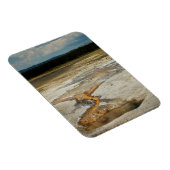 Magnet Flexible Aimant Premium Peint Grounds (Côté Droit)