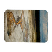 Magnet Flexible Aimant Premium Peint Grounds (Horizontal)